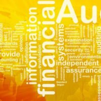 Audit, Assurance and Forensics