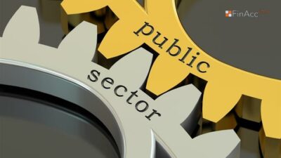 Public Sector Accounting and Finance Trial Plan